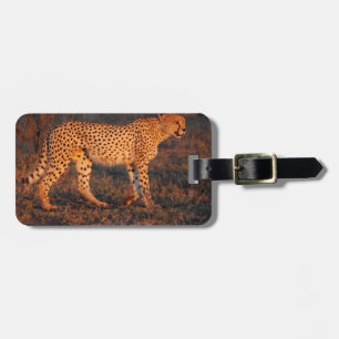 Cheetah Zuid-Afrika op Sunset Bagagelabel