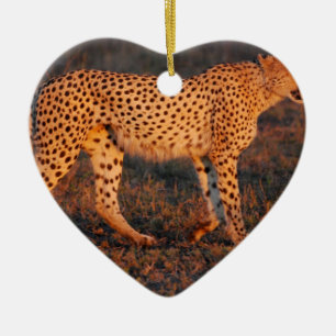 Cheetah Zuid-Afrika op Sunset Keramisch Ornament