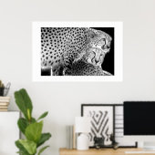 Cheetahs #1 poster (Thuiskantoor)