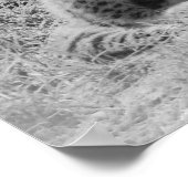 Cheetah's cubs poster (Hoek)