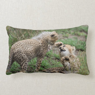 Cheetahs die Pillow spelen Kussen