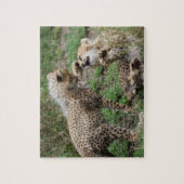 Cheetahs die Puzzle spelen Legpuzzel (Verticaal)