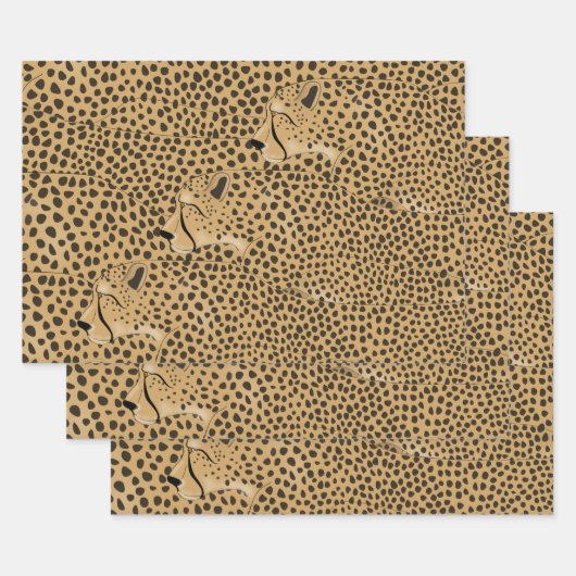 Cheetahs enveloppant des feuilles de papier (Lot)