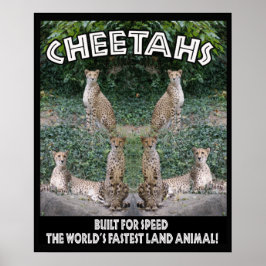 CHEETAHS - GEBOUWD VOOR SNELHEID POSTER