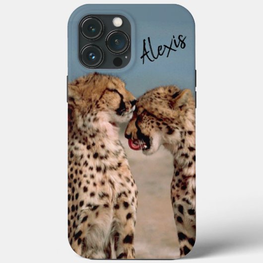 Cheetahs Hoesje-Mate iPhone case (Achterkant)