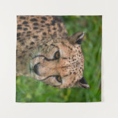 Cheetah's intense blik wandkleed (Voorkant (horizontaal))