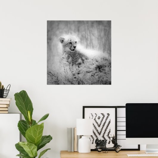 Cheetah's kub poster (Thuiskantoor)
