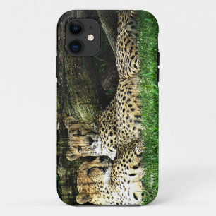 Cheetahs Lounging Grunge iPhone 11 Hoesje