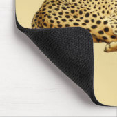 Cheetahs Muismat (Hoek)