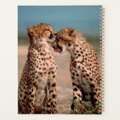 Cheetahs Planner (Achterkant)