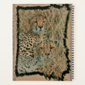 Cheetahs Planner (Achterkant)