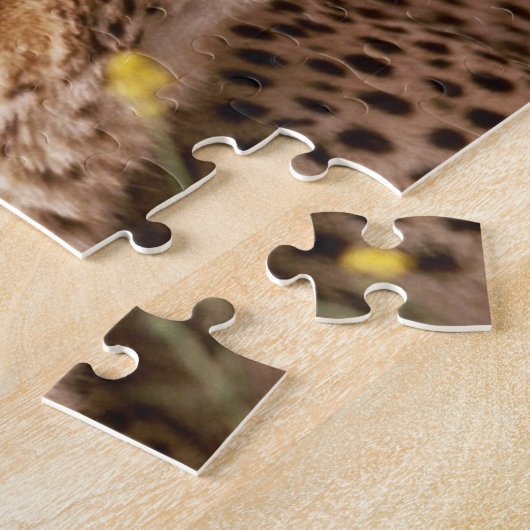 Cheetahs Puzzle (Côté)