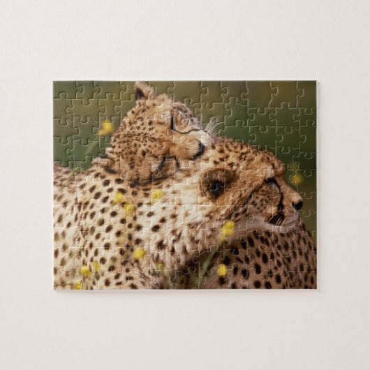 Cheetahs Puzzle Legpuzzel (Horizontaal)