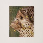 Cheetahs Puzzle Legpuzzel (Verticaal)