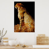 Cheetahs-standpunt Poster (Keuken)