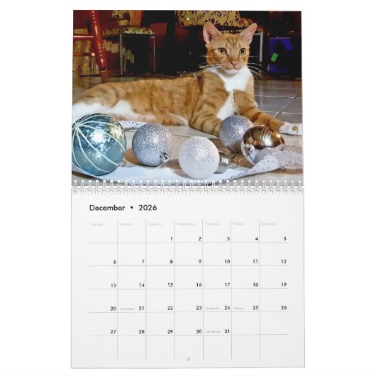 Cheeto Dacutecat 2020-kalender Kalender (Dec 2026)