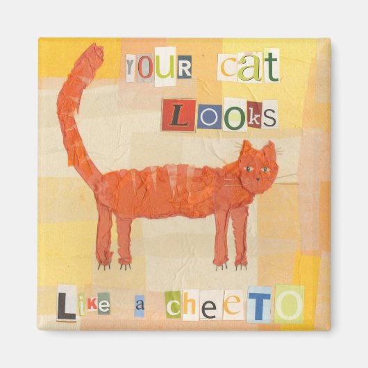 Cheeto Kat magneet (Voorkant)