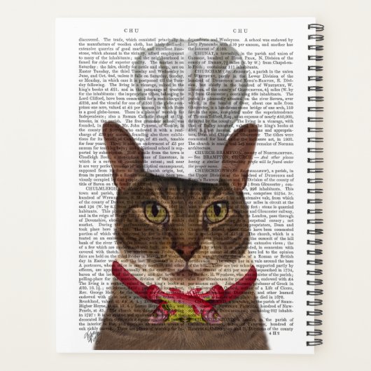 Chef de chat (Dos)