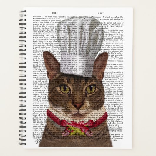 Chef de chat (Devant)