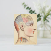 Chef de pharmacologie - Carte postale Vintage (Debout devant)