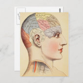 Chef de pharmacologie - Carte postale Vintage (Devant / Derrière)