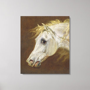 Chef d'un Cheval Arabe Gris (huile sur toile sur p
