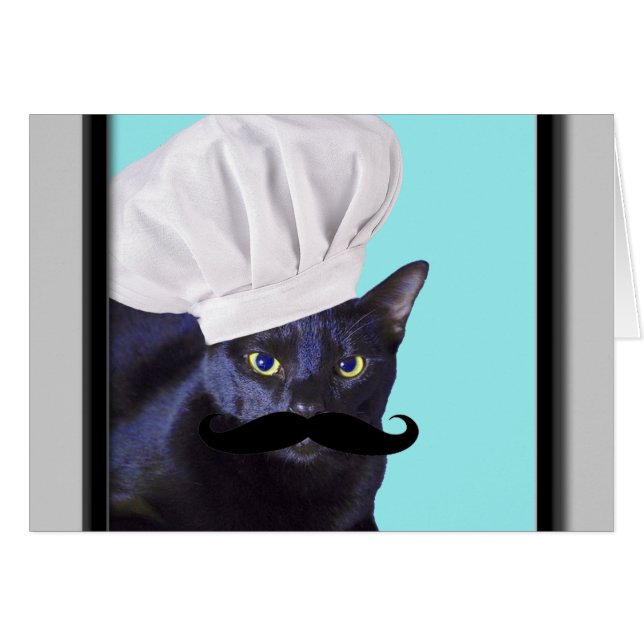Chef italien, chat noir (Devant horizontal)