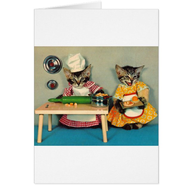 chef tabby kitten et assistant tabby kitten (Devant)