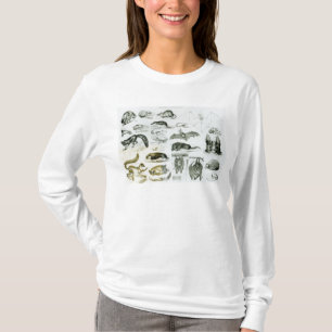 Cheiroptera, Insectivora T-shirt