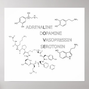 Chemical Structure Love Geek Poster