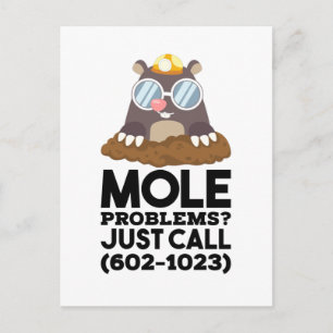 Chemie - Mole problemen Briefkaart