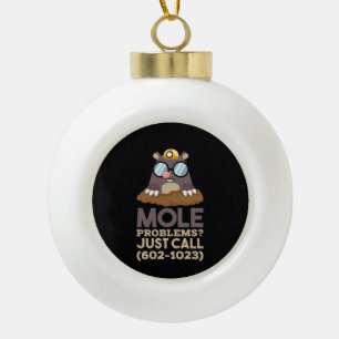 Chemie - Mole problemen Keramische Bal Ornament