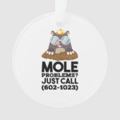 Chemie - Mole problemen Ornament (voorkant)