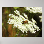 Chemie Poster (Voorkant)