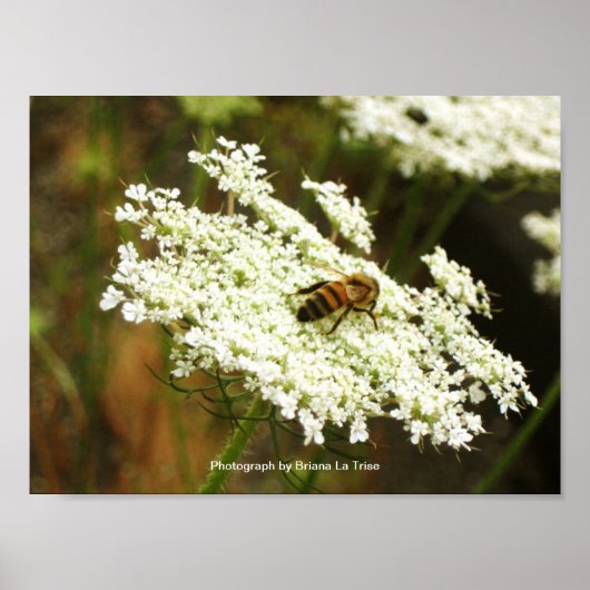 Chemie Poster (Voorkant)