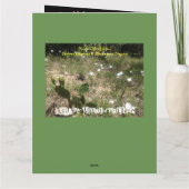 Chemin à la carte finale d'obtention du diplôme de (Dos)