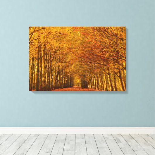 Chemin à pied à travers la toile de forêt d'automn (Insitu (Plancher de Bois))