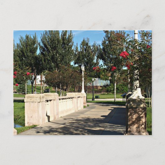 Chemin à travers la carte postale du parc (Devant)