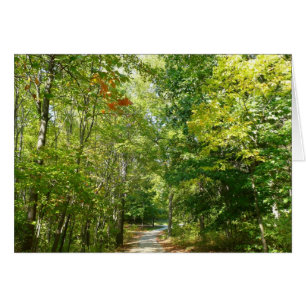 Chemin boisé centenaire I Ellicott City Nature