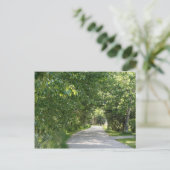 Chemin d'accès aux arbres carte postale (Debout devant)