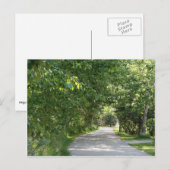 Chemin d'accès aux arbres carte postale (Devant / Derrière)