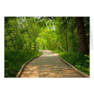 Chemin d'accès en arborescence