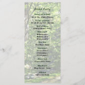 Chemin dans le programme de mariage dans le parc (Dos)