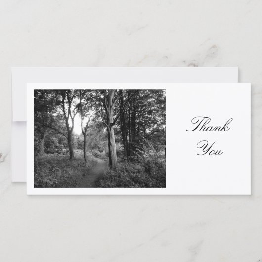 Chemin dans les bois - Merci (Devant)