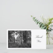 Chemin dans les bois - Merci (Debout devant)