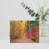 Chemin d'automne, carte postale (Debout devant)