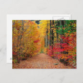Chemin d'automne, carte postale (Devant / Derrière)