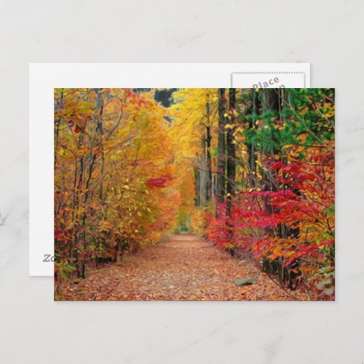 Chemin d'automne, carte postale (Devant / Derrière)