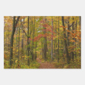 Chemin d'automne et Feuilles d'or au parc Laurel H (Devant 2)