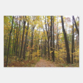 Chemin d'automne et Feuilles d'or au parc Laurel H (Devant)